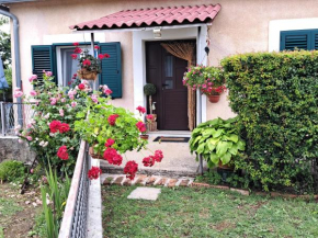 Holiday Home Goga
